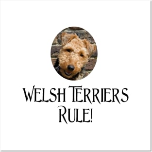 Welsh Terriers Rule! Posters and Art